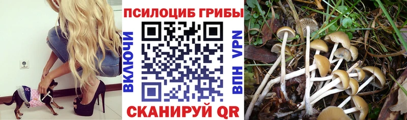 MEGA зеркало  Нарткала  Псилоцибиновые грибы Cubensis 